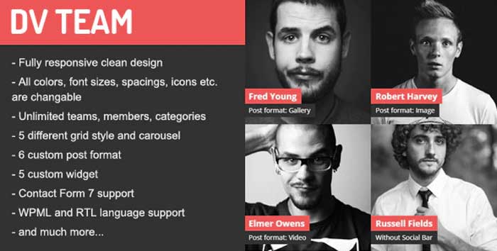 Free download DV Team v2.0 – Responsive Team Showcase WordPress Plugin