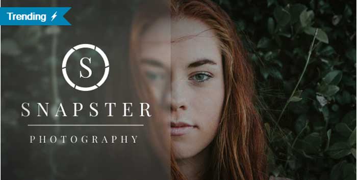 Download Free Snapster - Photography WordPress